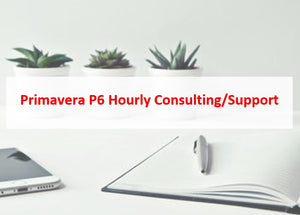 Primavera P6 Hourly Consulting/Support