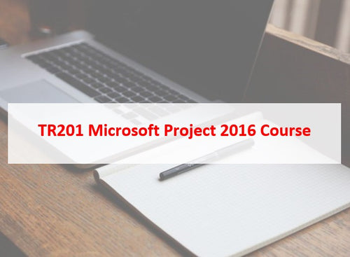 Live Online Instructor-led Microsoft Project 2019 Course