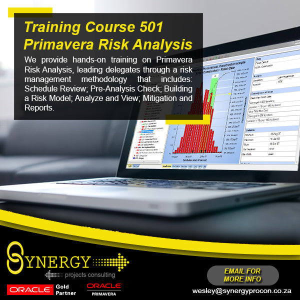 Live Online Instructor-led Primavera Risk Analysis Course – Synergy ...